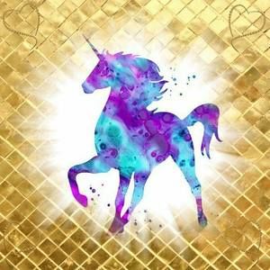 Meet your Posher, Fynn